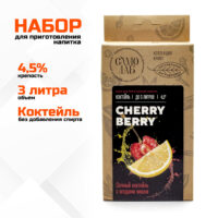Cherry berry (вишня) коктейль СамоЛаб, набор для слабоалкогольного напитка